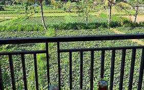 Mesari Homestay