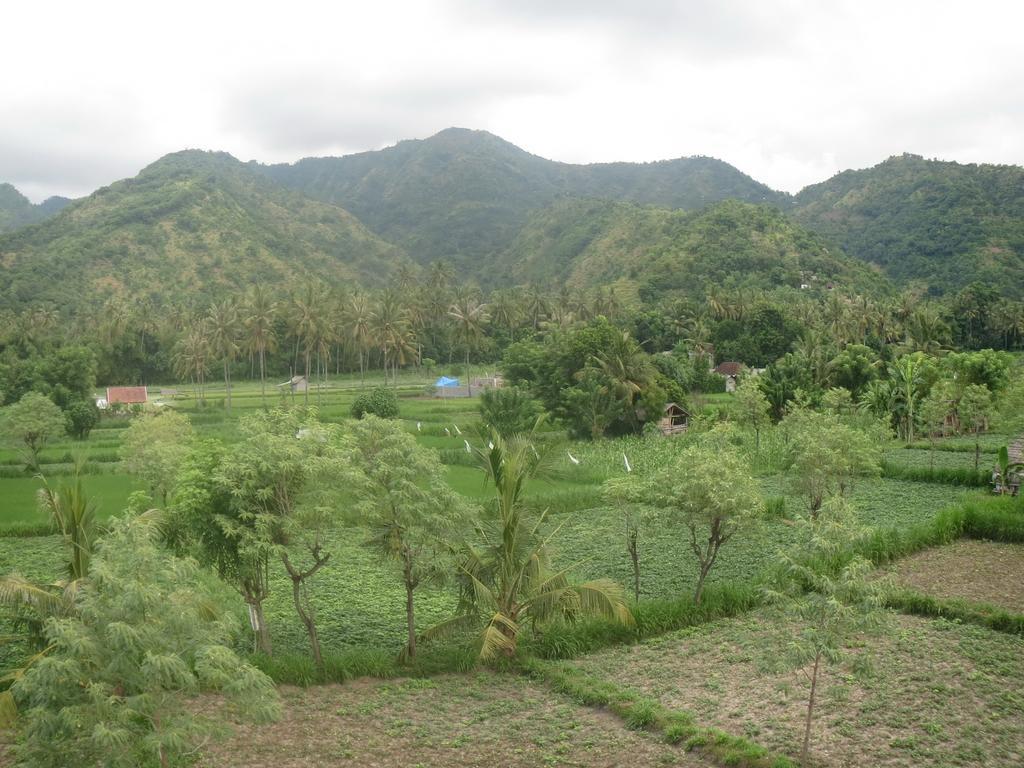 Mesari Homestay Amed  Bagian luar foto
