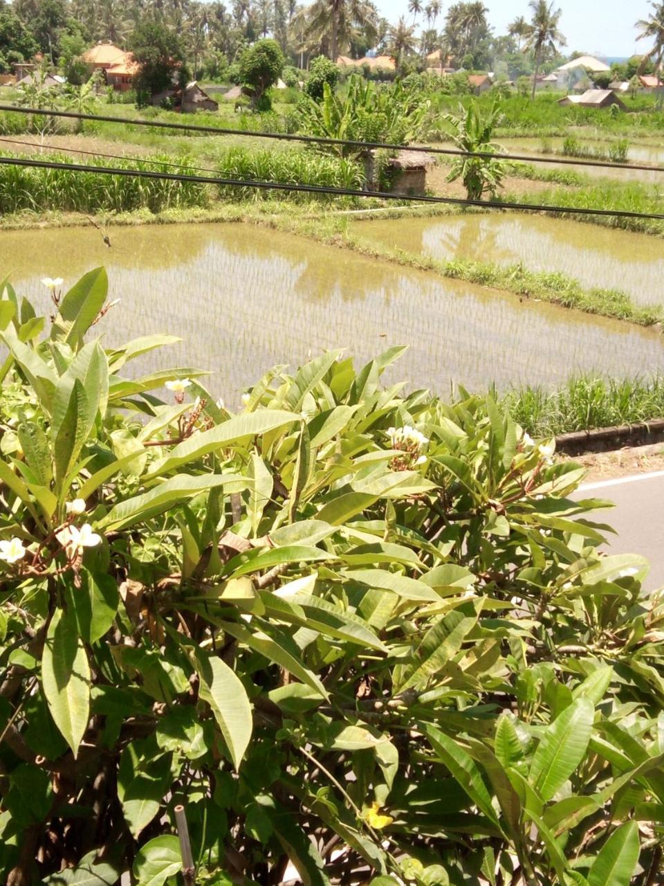 Mesari Homestay Amed  Bagian luar foto